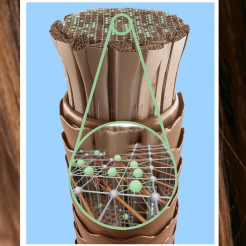 Schwarzkopf Professional Fibre Clinix Bondfinity Cortex keratin