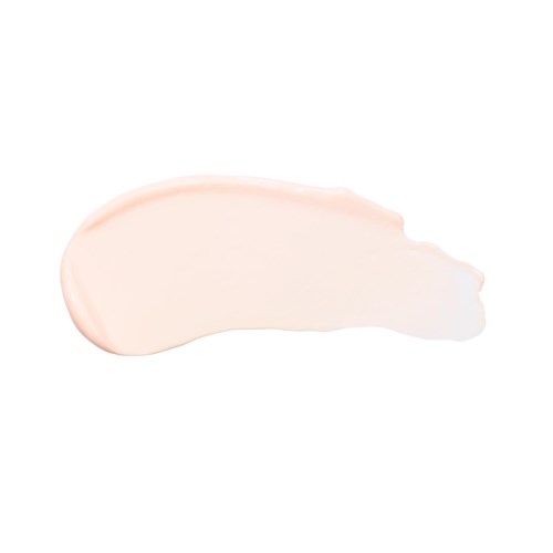 3INA The Revitalizing Primer
