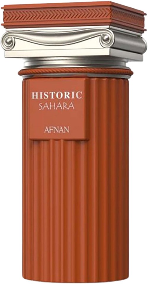 Afnan Perfumes Historic Sahara Eau de Parfum 100 ml | lyko.com