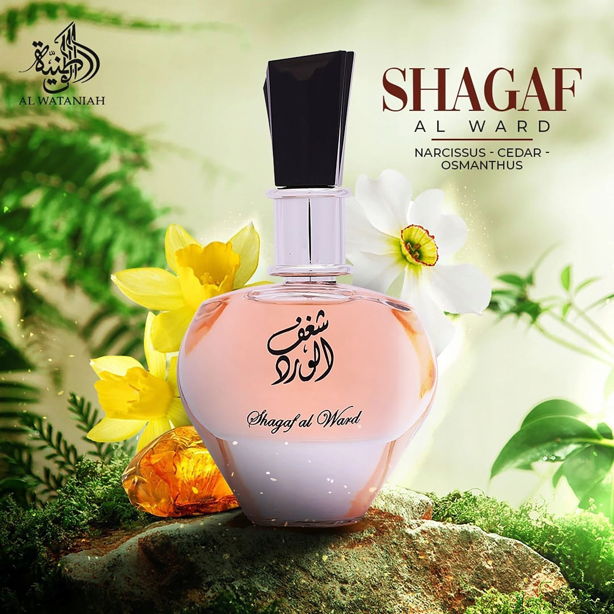 Al Wataniah Shagaf Al Ward Eau de Parfum 100 ml (obrázok 4)