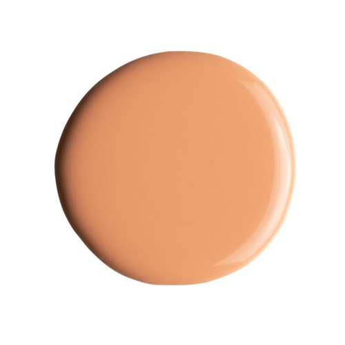 En rund, beige färgad sak, slät och glänsande, ser ut som ett knapphål eller en tablett.