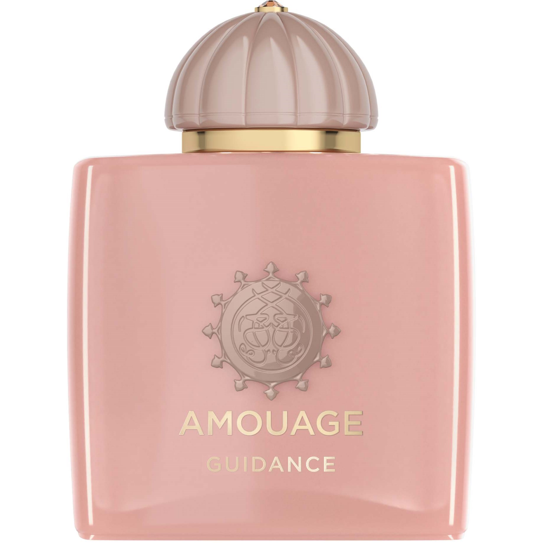 Läs mer om Amouage Guidance Woman Eau de Parfum 100 ml