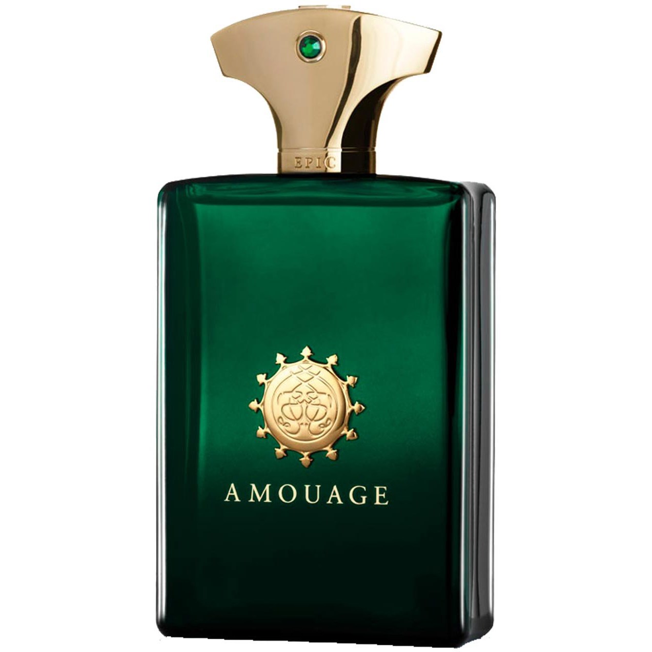 Läs mer om Amouage Mens Fragrance Epic 100 ml