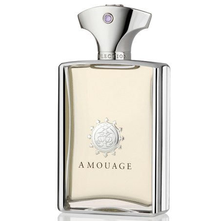 Läs mer om Amouage Mens Fragrance Reflection 100 ml