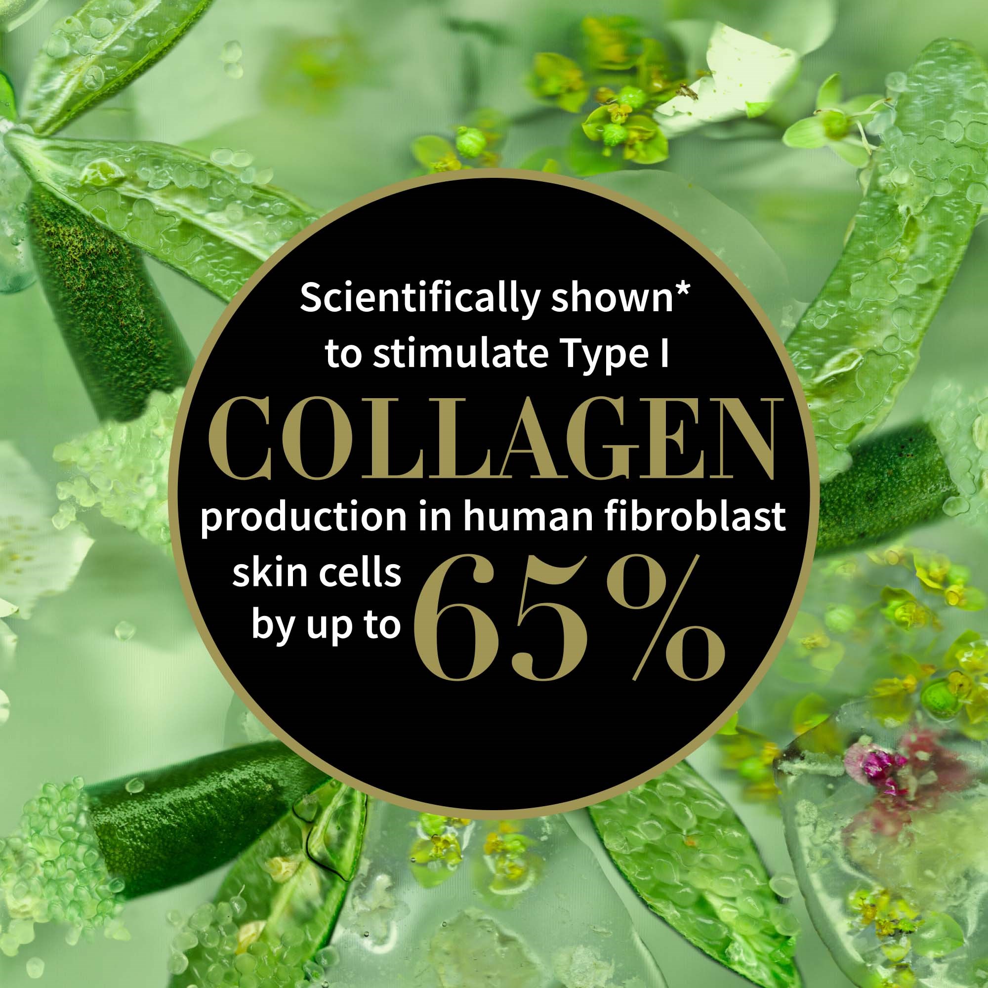 Antipodes Lime Caviar Collagen-Rich Firming Cream 60 ml (obrázok 4)