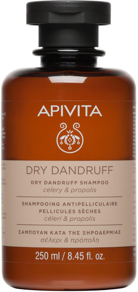 APIVITA Dry Dandruff Shampoo 250 ml