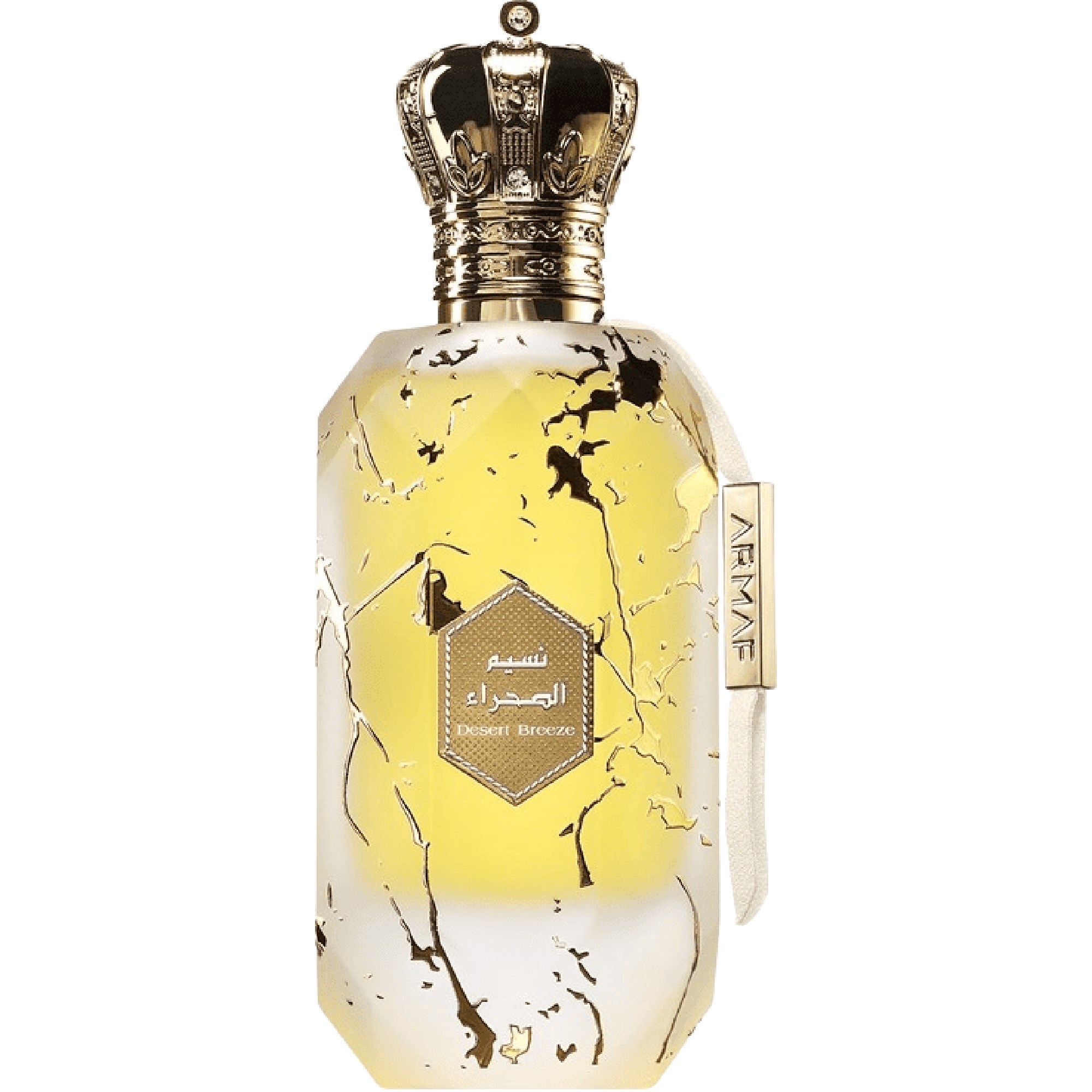 Armaf Éter Desert Breeze Eau de Parfum 100 ml billede