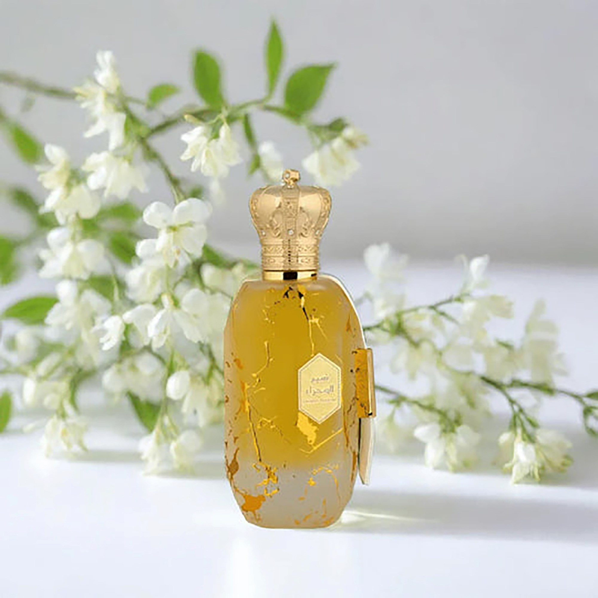 Armaf Éter Desert Breeze Eau de Parfum 100 ml (obrázok 4)