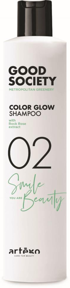 ARTEGO 02 Color Glow Shampoo 250ml