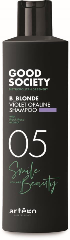 ARTEGO 05 Violet Opaline Shampoo 250ml