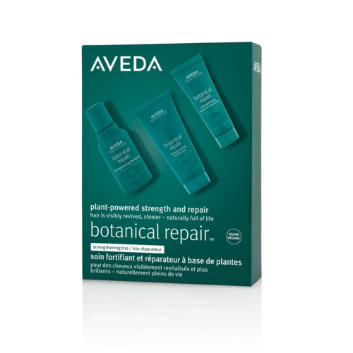 Eine grüne Schachtel mit zwei Tuben und einer Flasche Aveda Botanical Repair Haarprodukte. Text hebt pflanzenbasierte Stärke und Reparatur hervor.