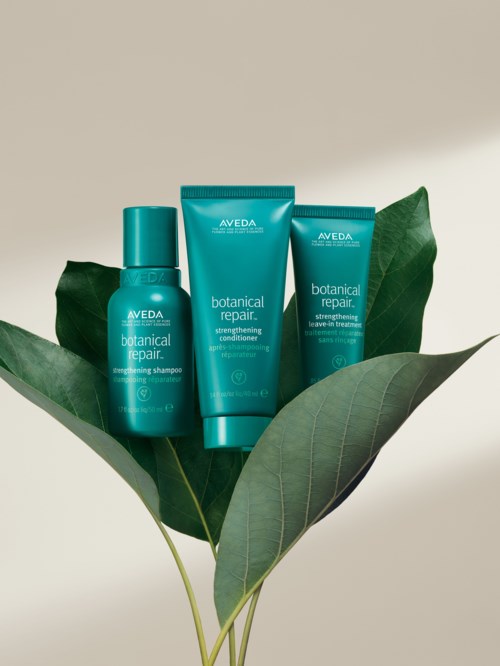 Drei türkise Aveda Botanical Repair Haarprodukte auf grünen Blättern mit einfachem Hintergrund.