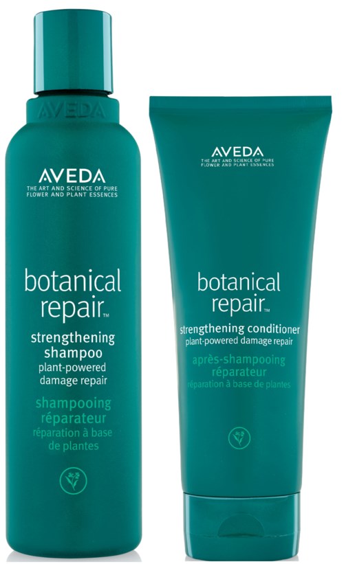 AVEDA Botanical Repair Package