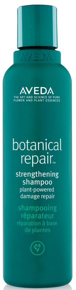 Aveda Botanical Repair Shampoo 250 ml