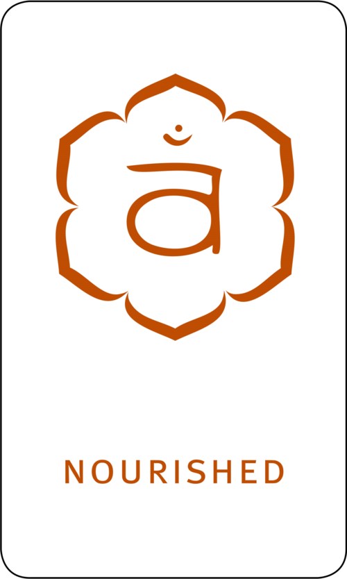 Logo, jossa on pieni 'a' ympyrän sisällä ja sana Nourished alla oranssina.