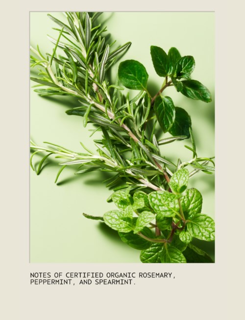 Ferske kvister av rosmarin, peppermynte og spearmint vises. Notatet sier at de er økologiske og sertifiserte.
