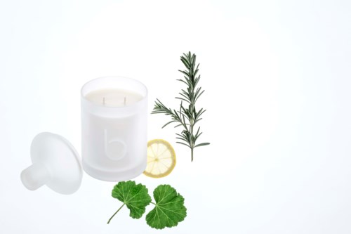Ett vitt ljus, en citronskiva, en svamp, ett kvist rosmarin och två gröna blad på vit bakgrund.