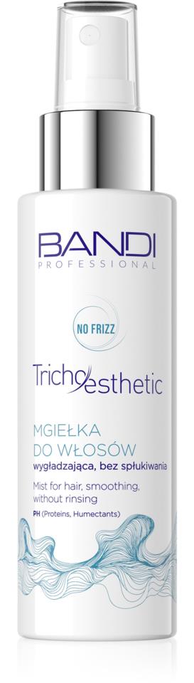 Bandi Mist for hair, smoothing, without rinsing 100 ml