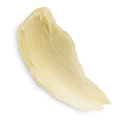 Ett enda ljusfärgat frö eller nöt med en slät, böjd form och spetsig ände.