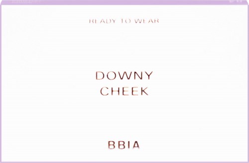 Text on a white background with a purple border, saying 'READY TO WEAR,' 'DOWNY CHEEK,' and 'BBIA.'