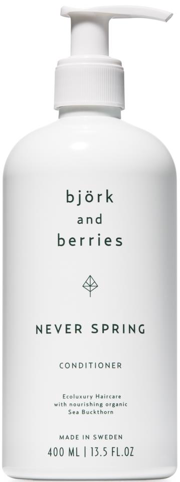 Björk & Berries Never Spring Conditioner 400ml