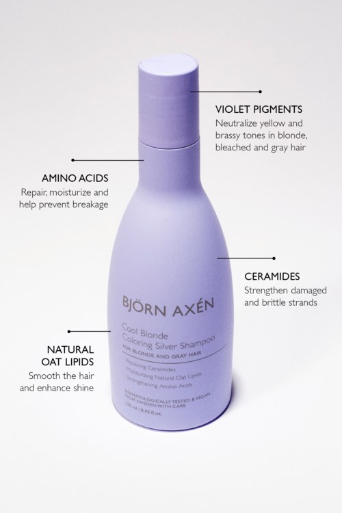 Björn Axen Cool Blonde Cool Blonde Coloring Silver Shampoo