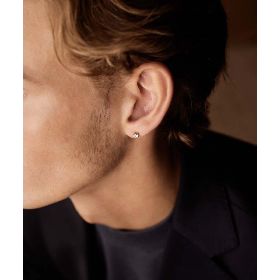 Blomdahl Golden Titanium Tiffany Precious, CZ White 5 mm (obrázok 5)