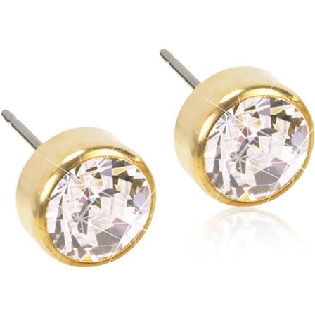 Produktfoto för Blomdahl örhängen Blomdahl GT Bezel 4 mm Crystal 1 par