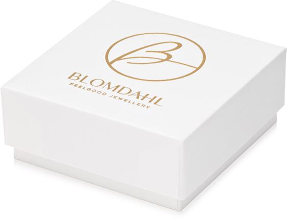 Blomdahl Jewellery box