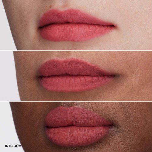 Close-up of lips in different shades, showing color and texture differences.