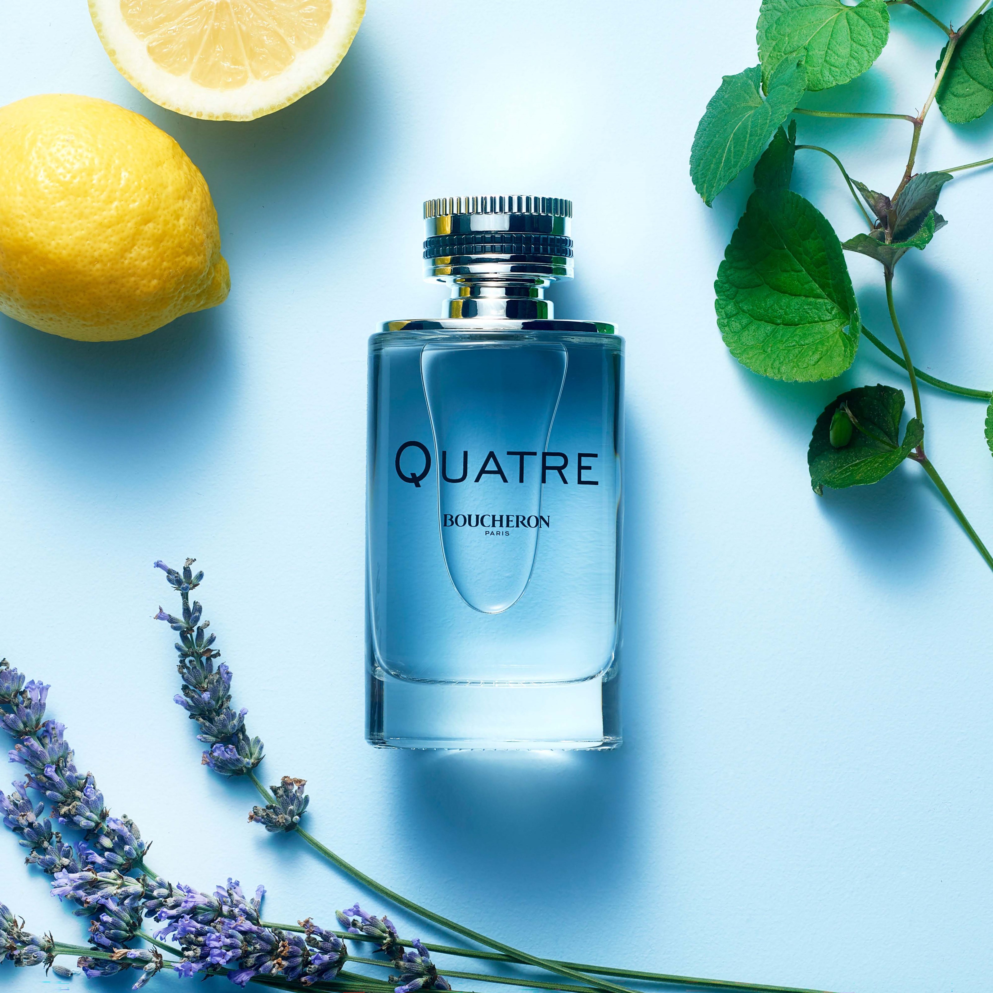 Boucheron Quatre Pour Homme Eau de Toilette 100 ml (obrázok 3)