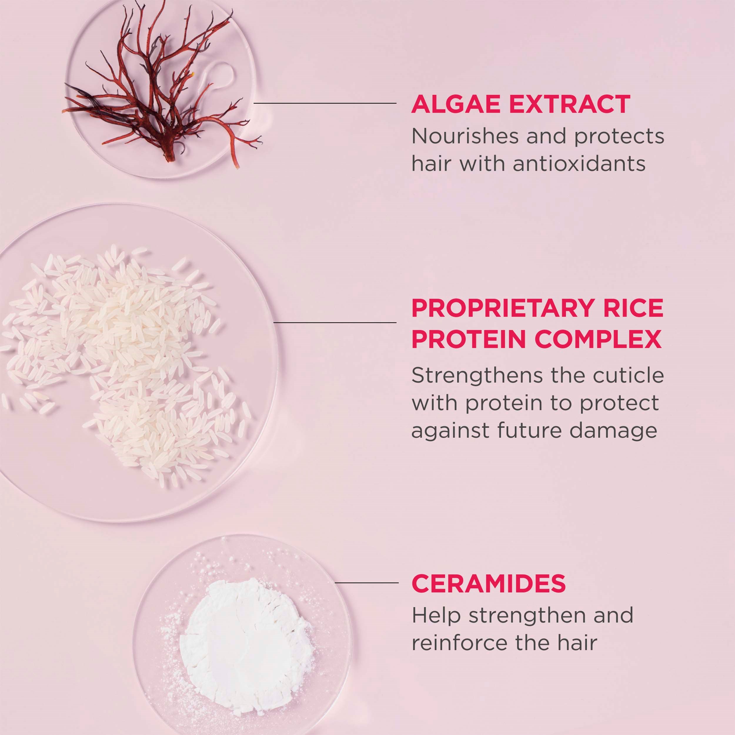 Briogeo Don't Despair, Repair!™ MegaStrength+ Rich Rice Shampoo Concen (obrázok 8)