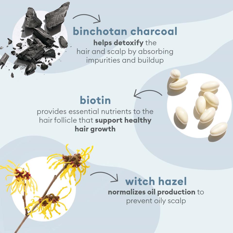 Briogeo Scalp Revival™ MegaStrength+ Dandruff Relief Shampoo Charcoal ...