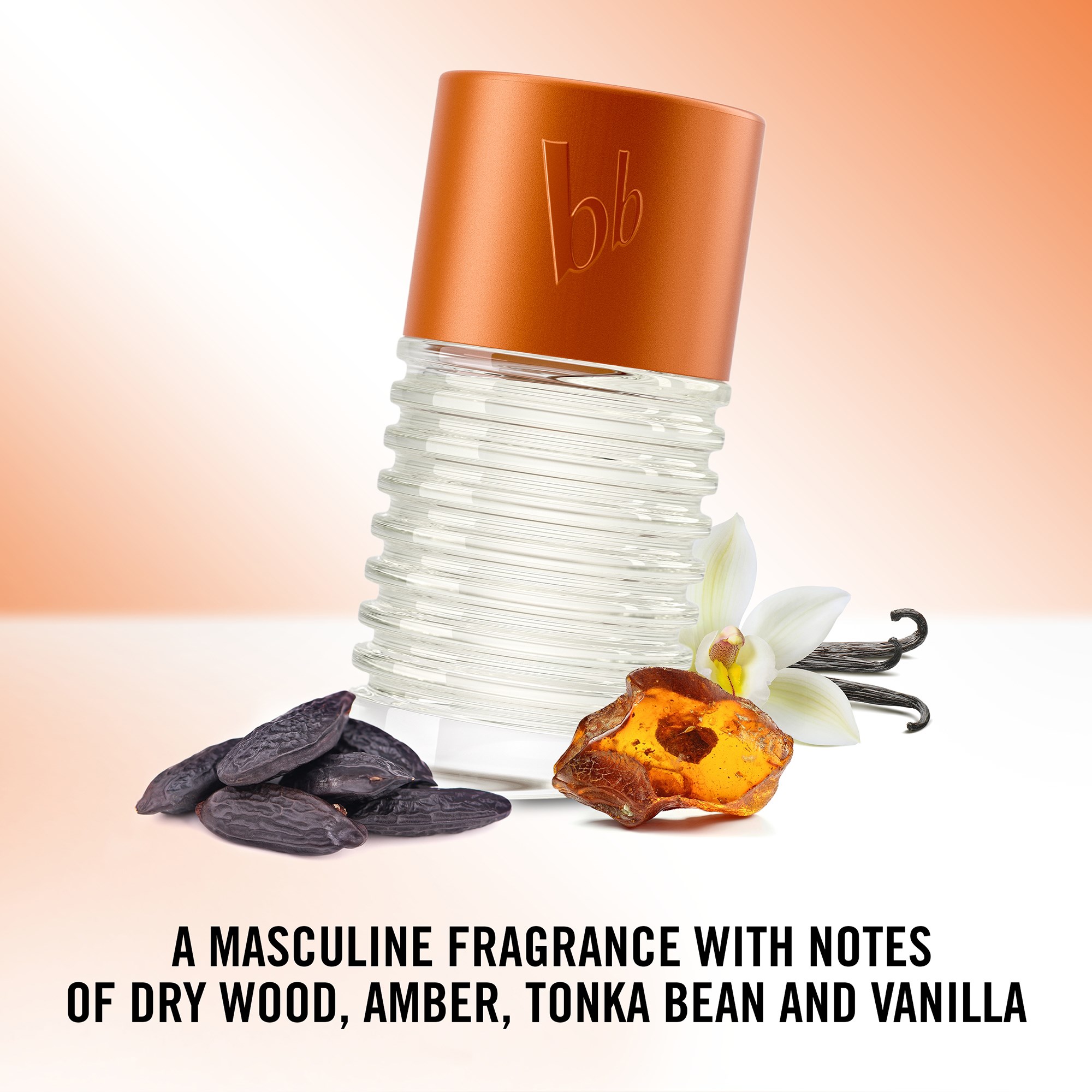 Bruno Banani Absolute Man Eau de Toilette For Men 50 ml (obrázok 6)