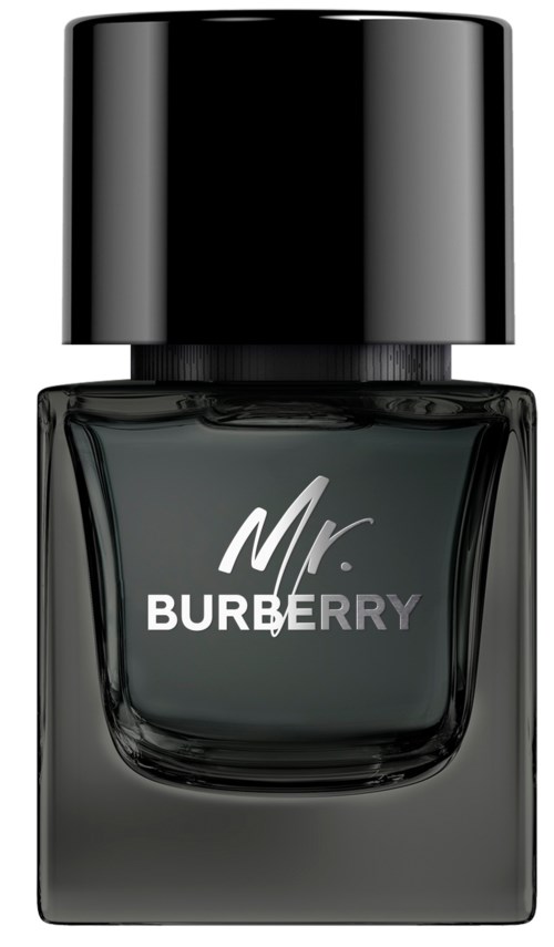 burberry mr. burberry