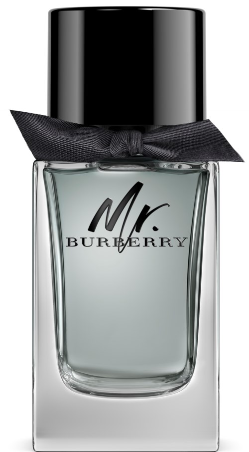 Burberry Mr Burberry Eau De Toilette 100 ml