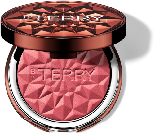 By Terry Tea to Tan Powder Blush N6 Spicy Song