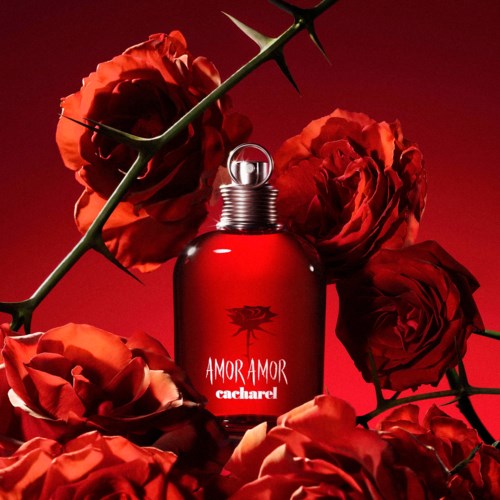 Perfume Amor Amor Parfum 100 Ml Buy Cacharel Amor Amor EDT 100ml