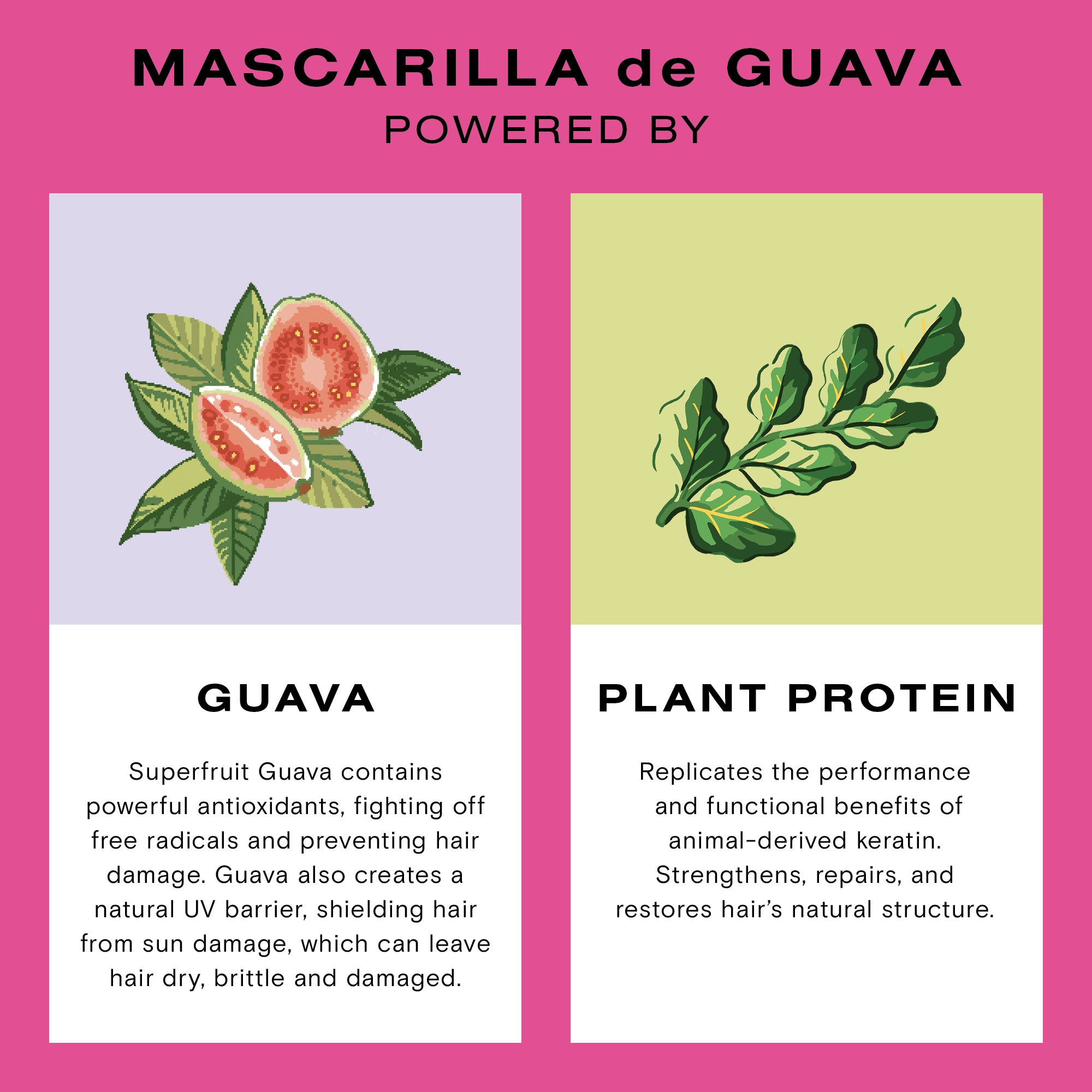 Ceremonia Guava Mask 230 ml (obrázok 5)
