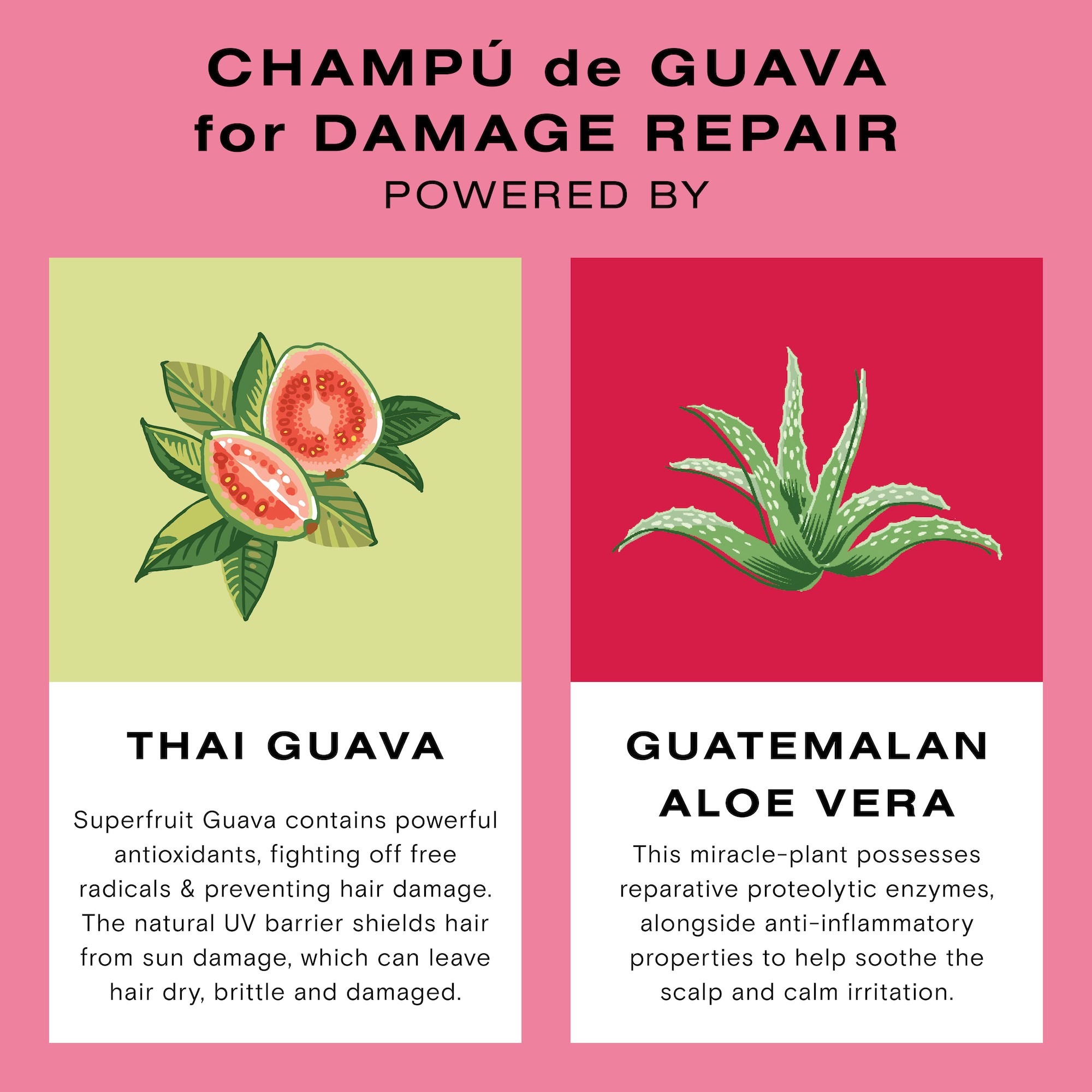 Ceremonia Guava Schampo 250 ml (obrázok 6)