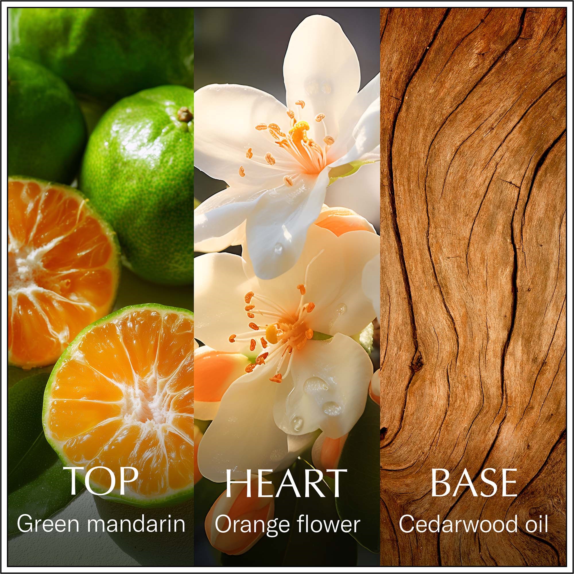 Chanson d'Eau Neroli Eau de Toilette 100 ml (obrázok 3)