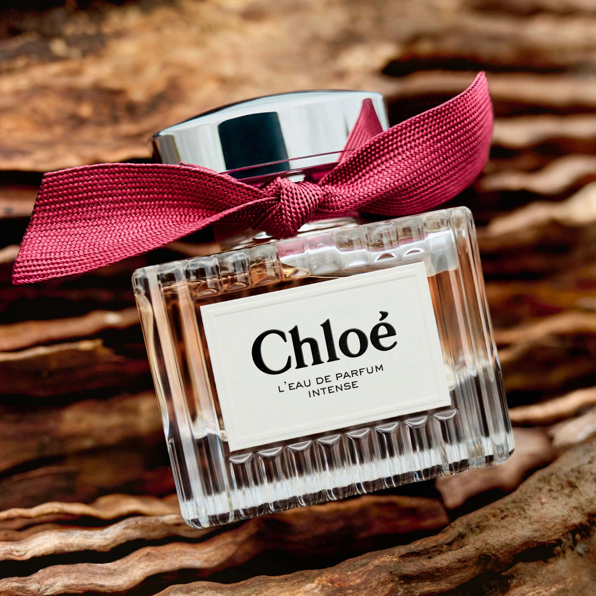 Chloé L'Eau De Parfum Intense Eau De Parfum 30 ml (obrázok 10)