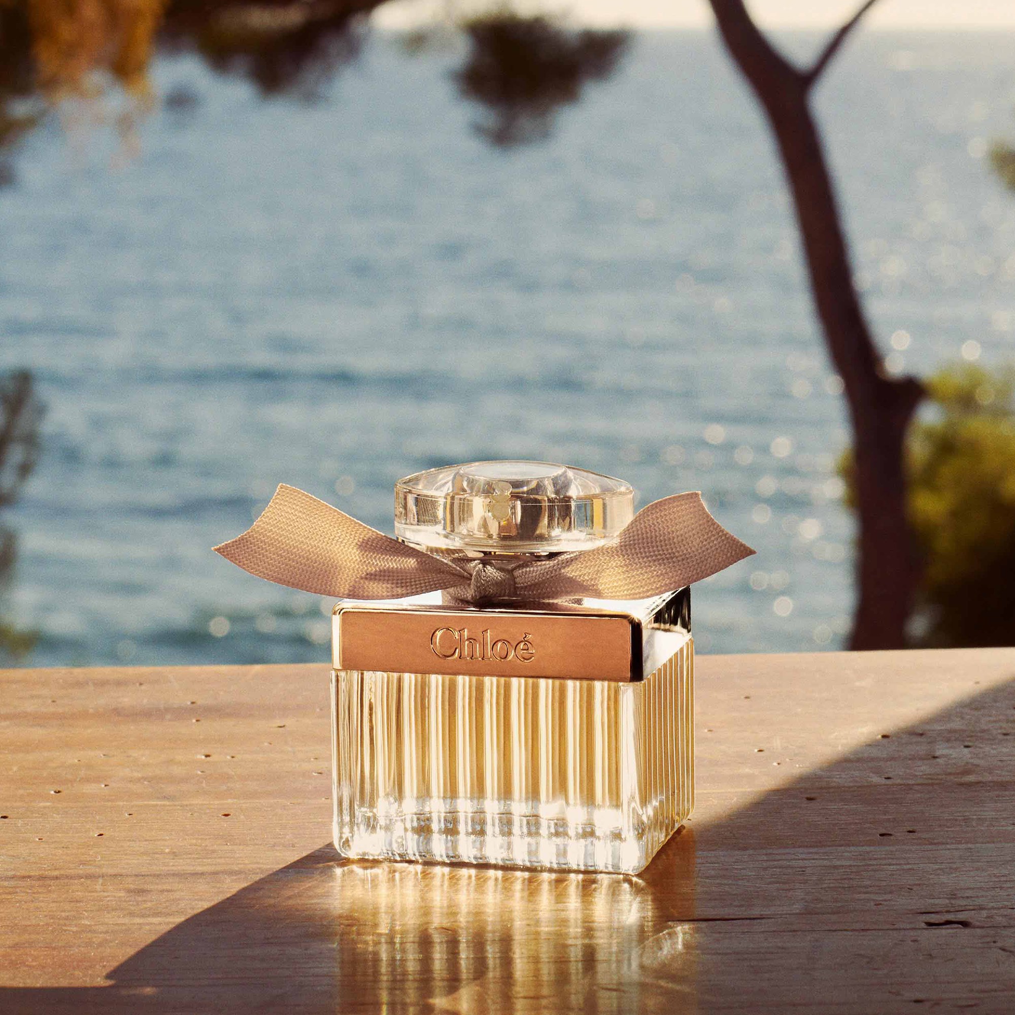 Chloé Eau de Parfum for Women 30 ml (obrázok 8)