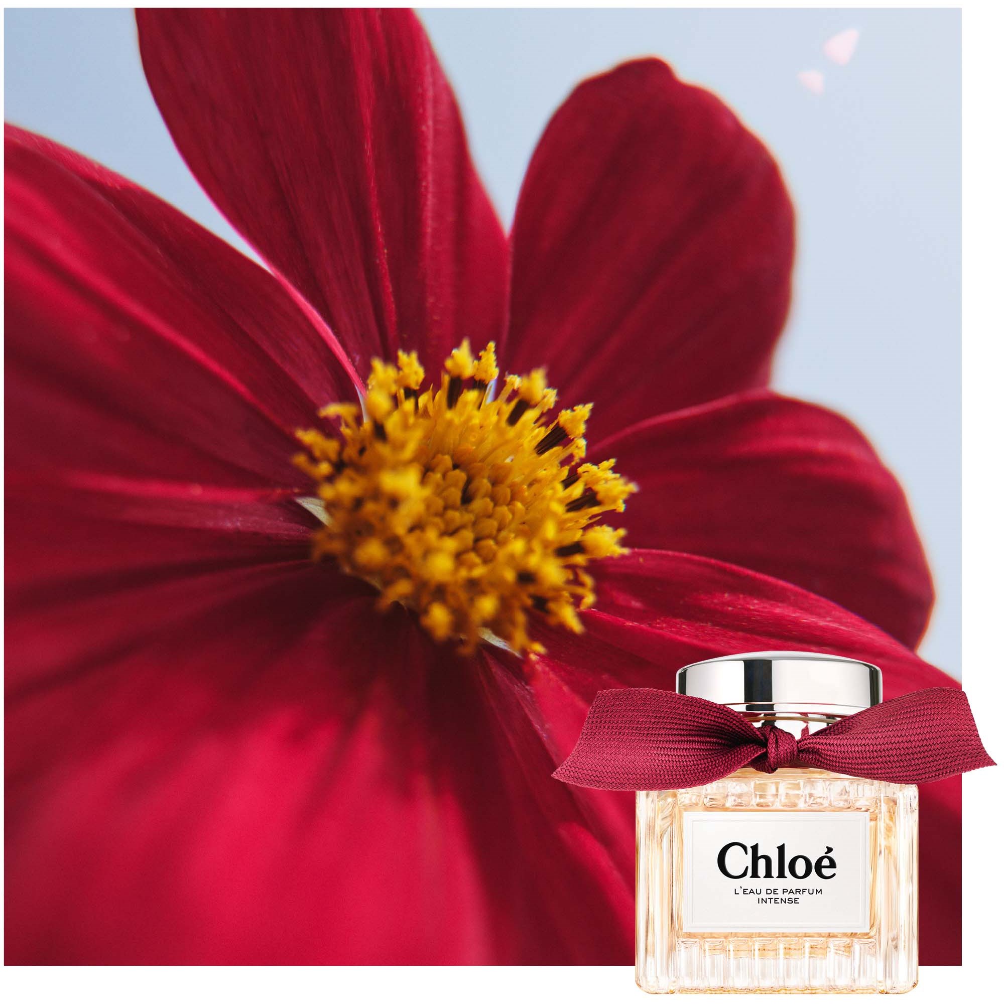 Chloé L'Eau De Parfum Intense Eau De Parfum 50 ml (obrázok 10)