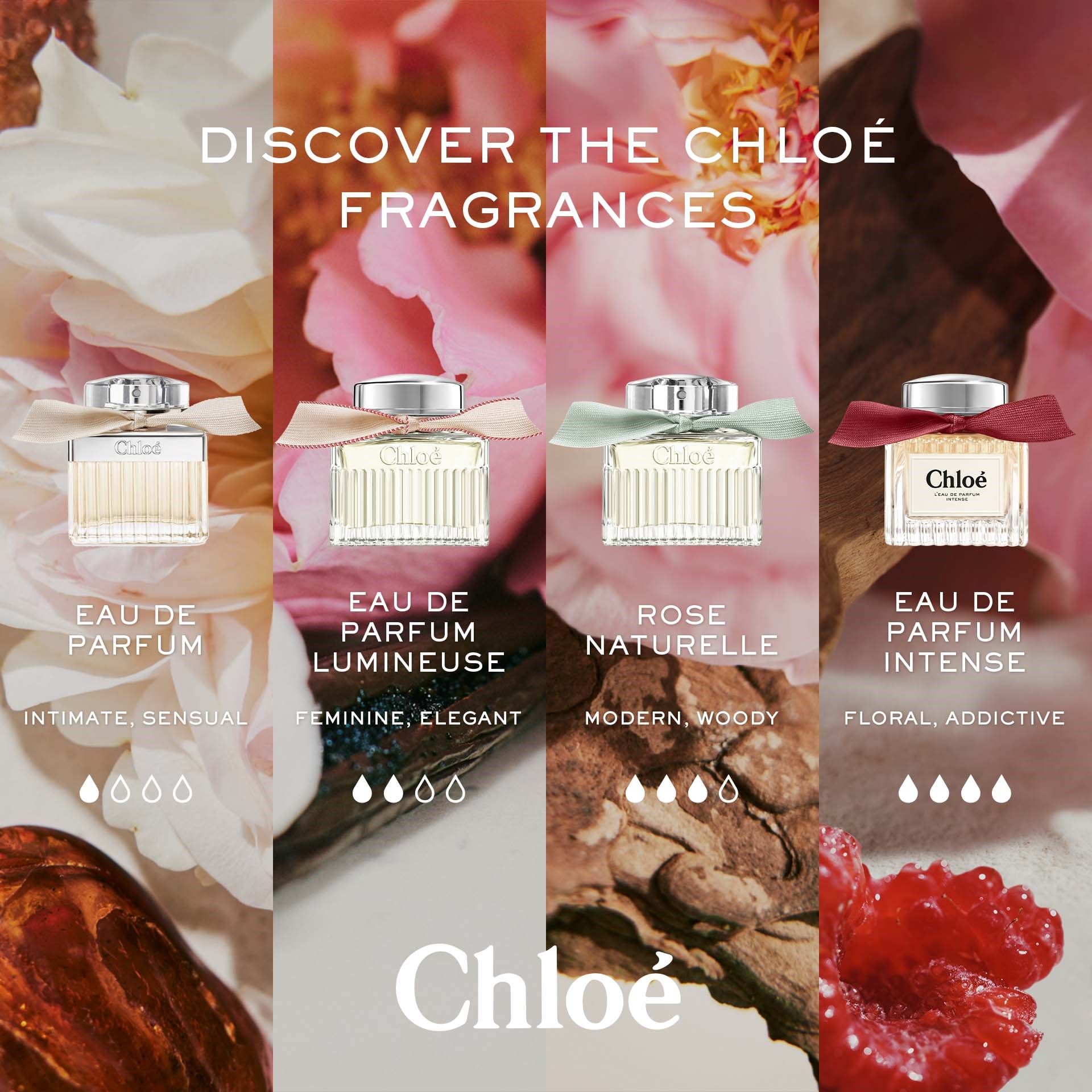 Chloé L'Eau De Parfum Intense Eau De Parfum 50 ml (obrázok 8)