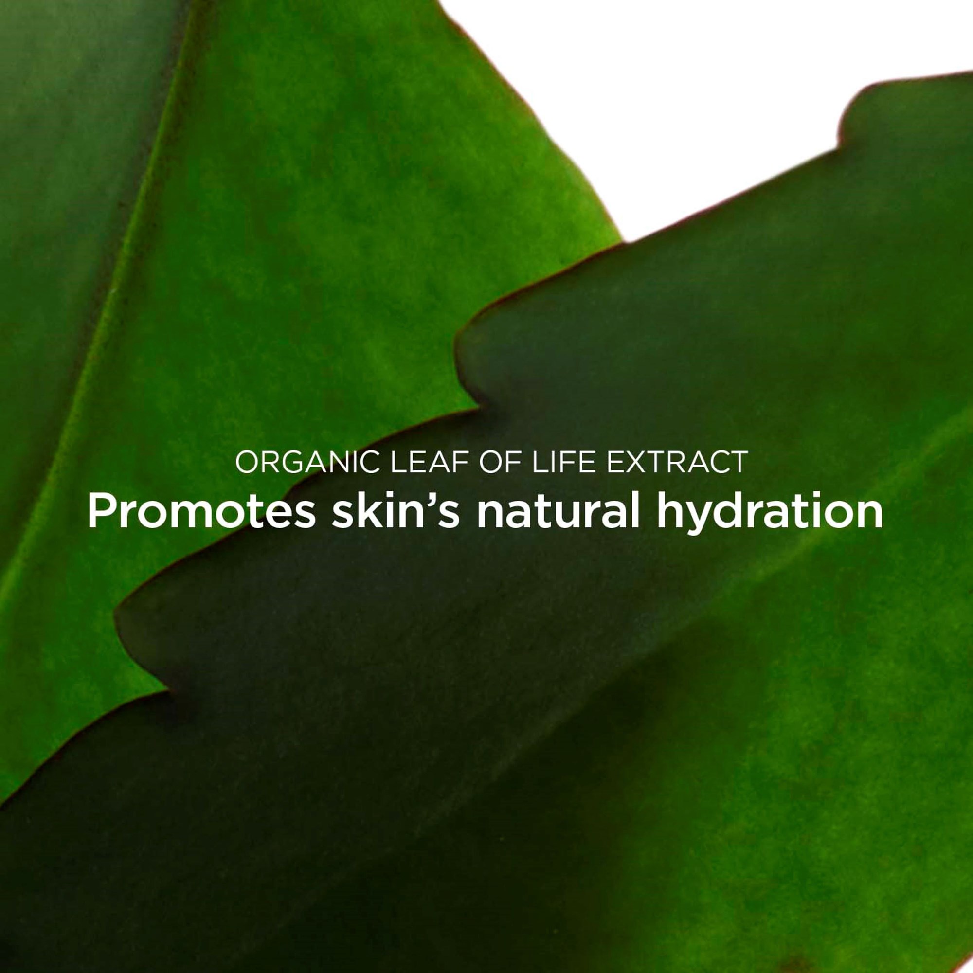 Clarins Fresh Scrub Refreshing Cream Scrub 50 ml (zdjęcie 3)