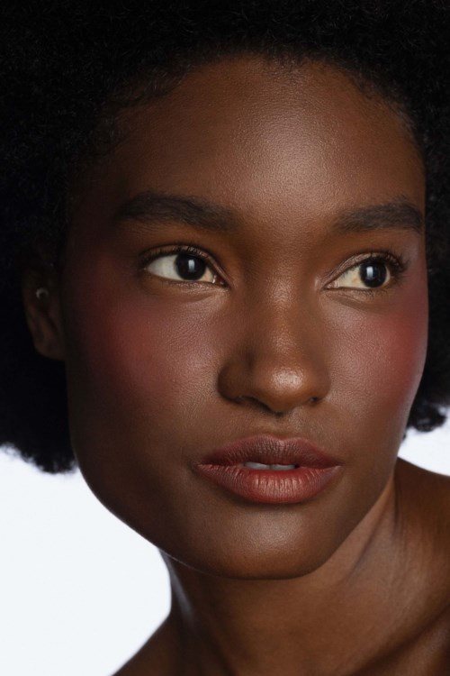 Пудровый тинт для губ CLE Melting Lip Powder, матовый, оттенок Desert Rose — фото 3