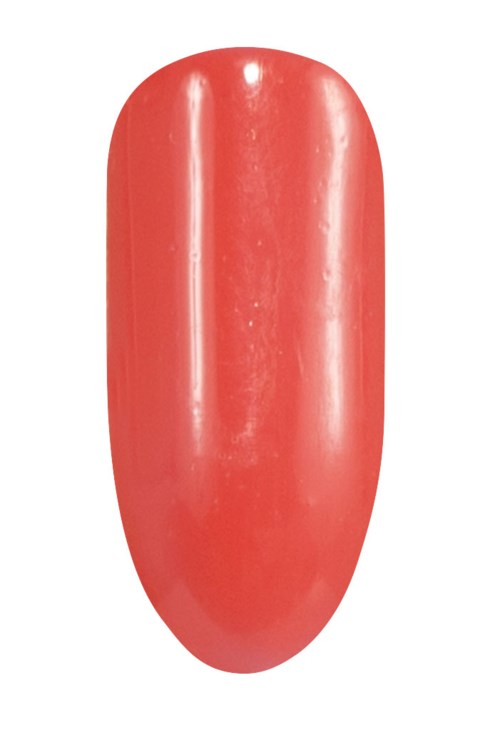 Een rood, ovaalvormig object met een glanzend oppervlak dat lijkt op een capsule of pil.