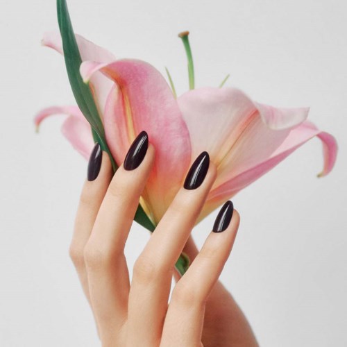 Een hand met donkere nagellak houdt een roze en witte lelie vast tegen een lichte achtergrond.