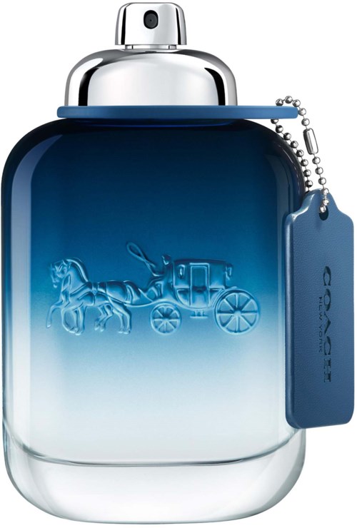 Coach Blue Eau de Toilette 100 ml
